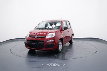 FIAT New Panda My25 1.0 FireFly S&S Hybrid