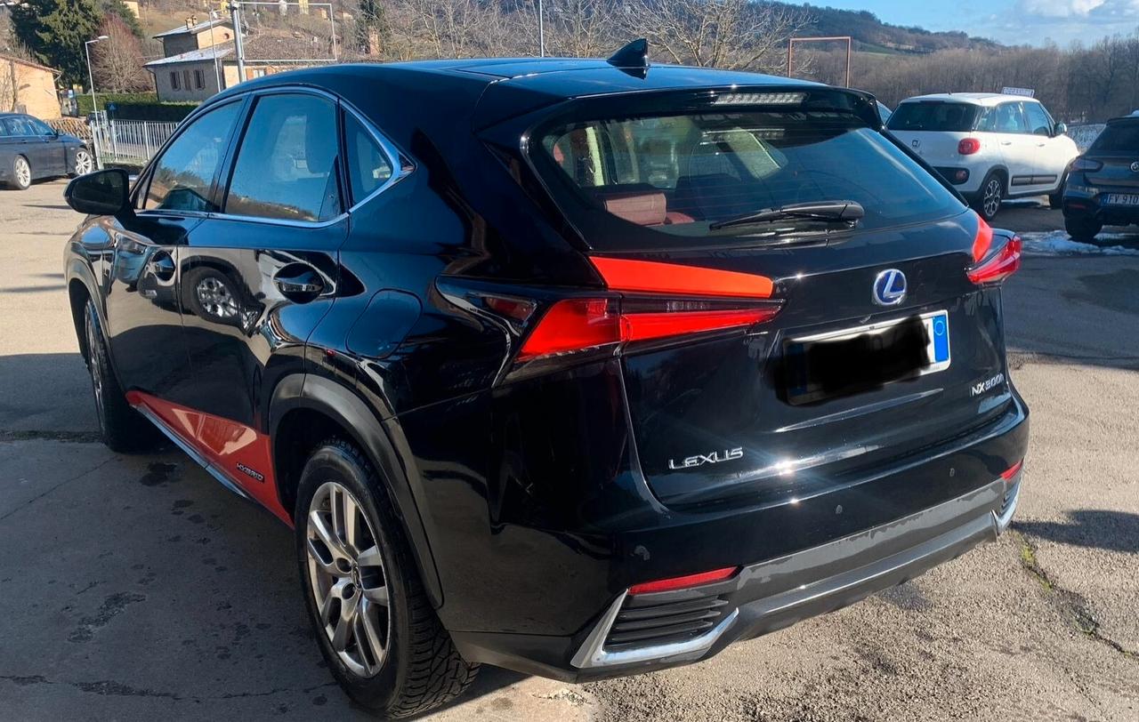 Lexus NX 300h Hybrid 4WD Business full-anno2021-20000km-8 cerchi con gomme-unico prop-come nuova-lusso toyota