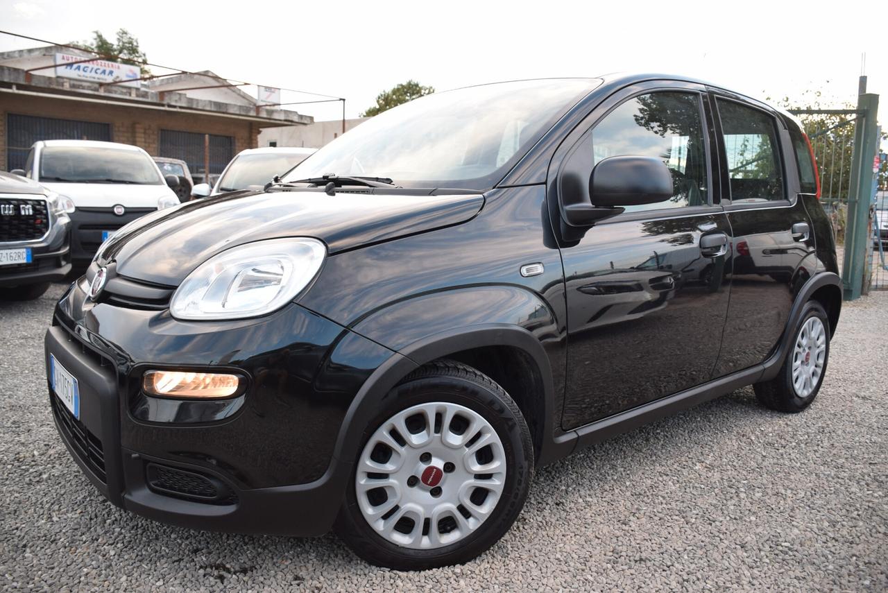 Fiat Panda 1.0 FireFly Hybrid CLIMA BT OK NEOPATENTATI IVA DETR.