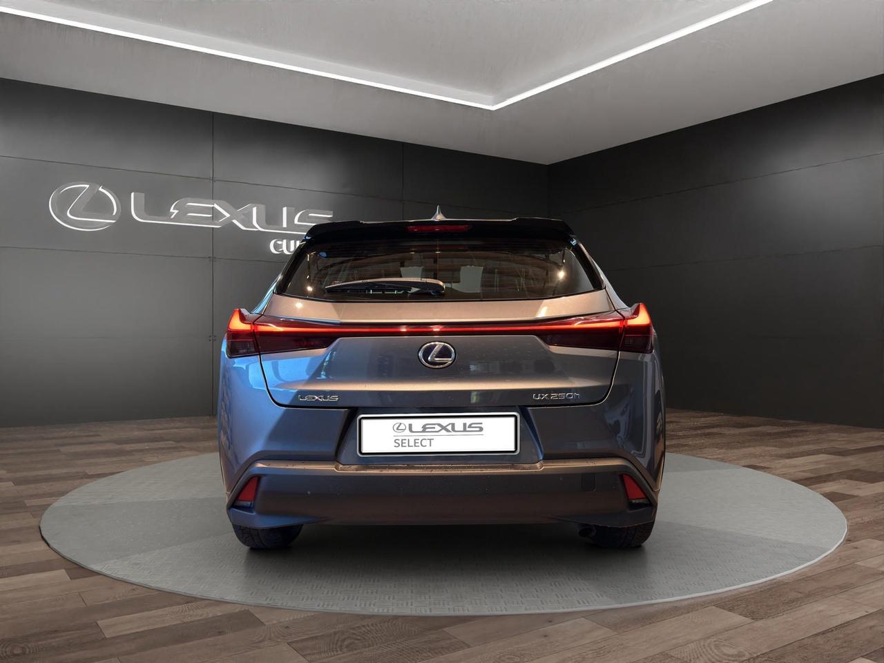Lexus UX 250h 2.0 Business 2wd cvt my20