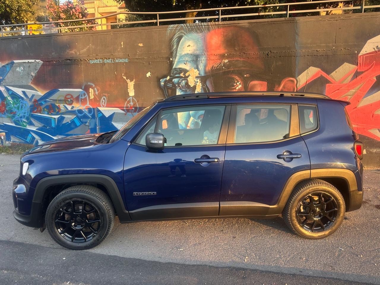 Jeep Renegade 1.6 Mjt 120 CV Limited/AUTOMATICA/B.SHAFT