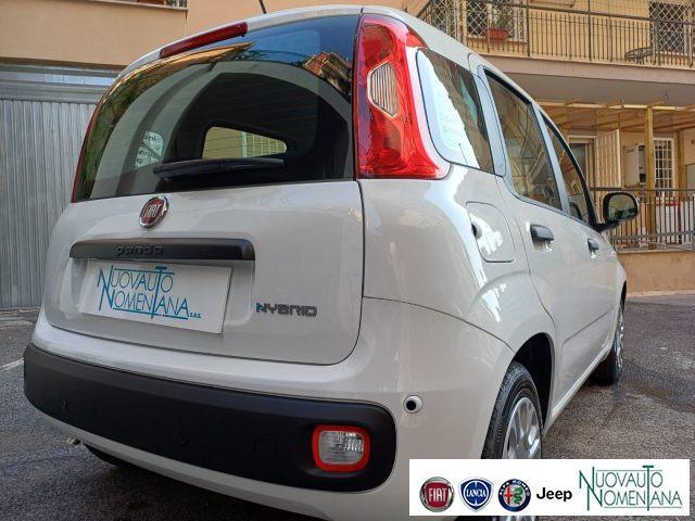 FIAT Panda 1.0 FireFly S&S Hybrid Pop Km0 VETTURA NUOVA