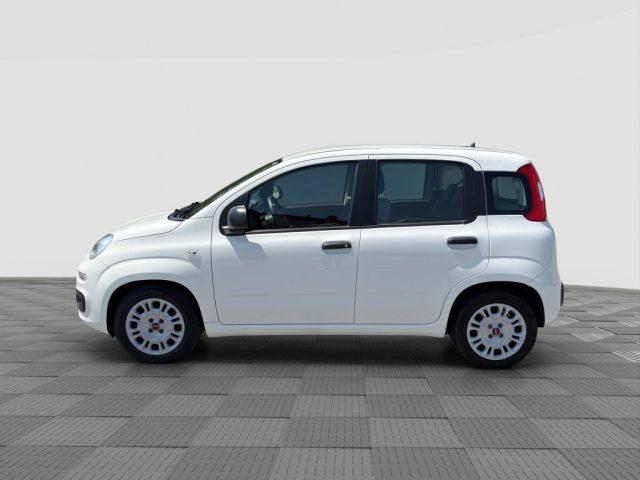 FIAT Panda Panda 1.0 FireFly Hybrid