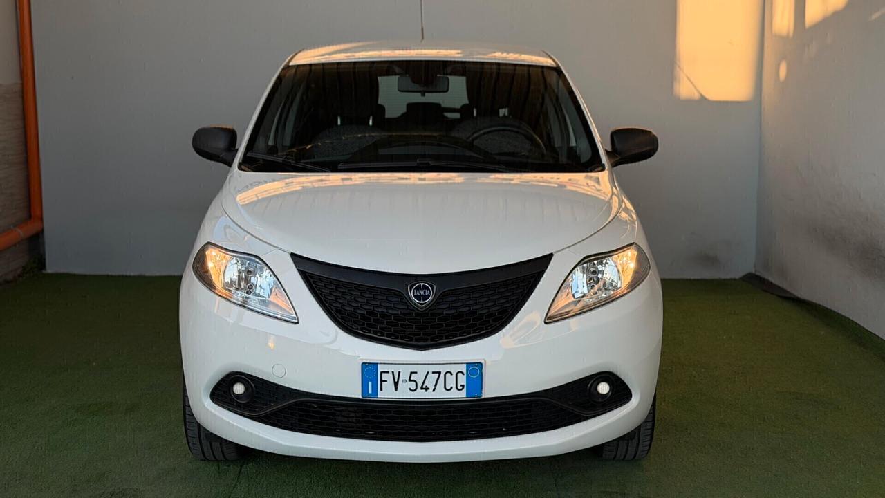 Lancia Ypsilon 1.2 69 CV 5 porte S&S Elefantino Blu