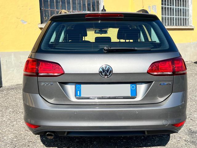 VOLKSWAGEN Golf Variant 1.6 TDI 110 CV Business BlueMotion Tech.