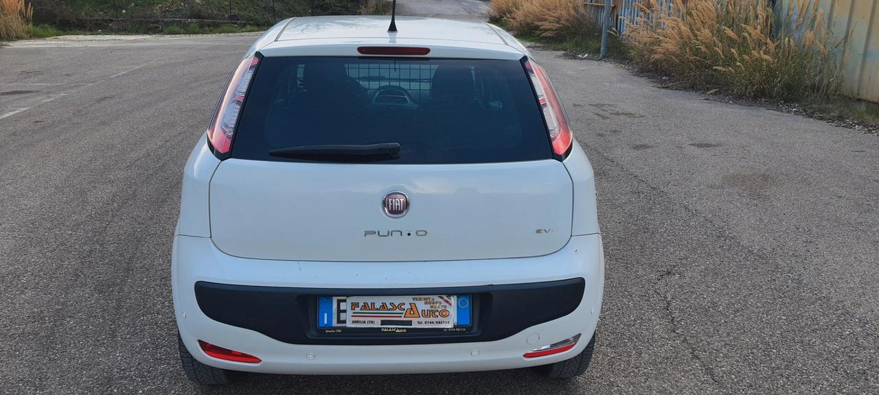 Fiat Punto 1.3 MJT 75CV 3 porte Van 2 posti