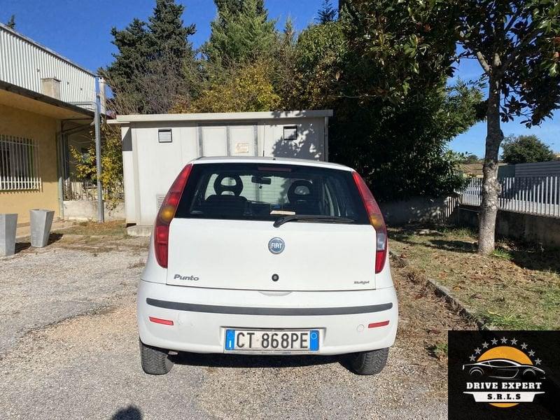 FIAT Punto Punto 1.3 Multijet 16V 5 porte Dynamic