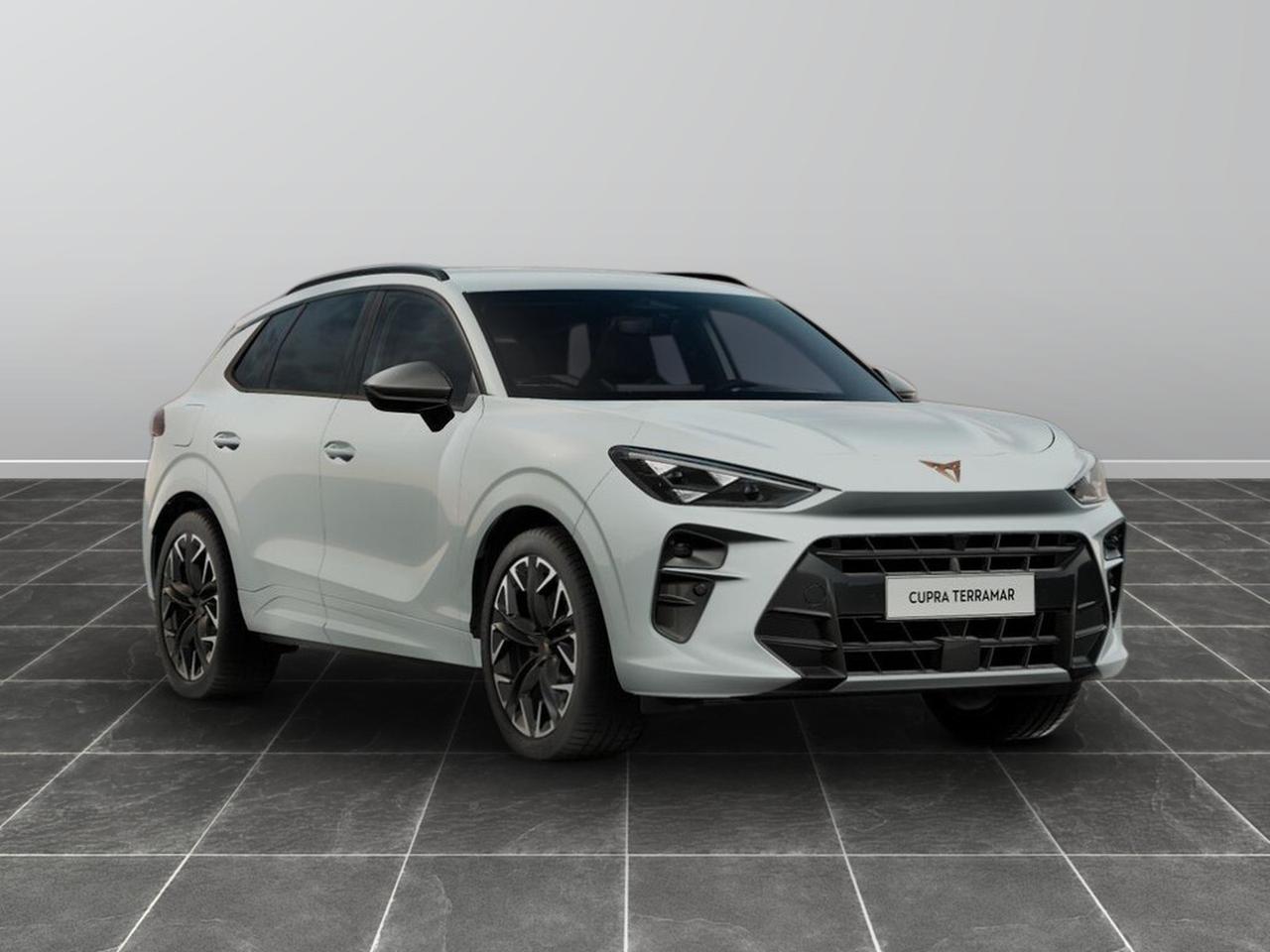 Cupra Terramar 1.5 e-hybrid 204cv impulse dsg