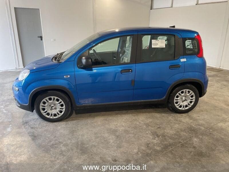 FIAT Panda Serie 7 1.0 70cv HybridPanda
