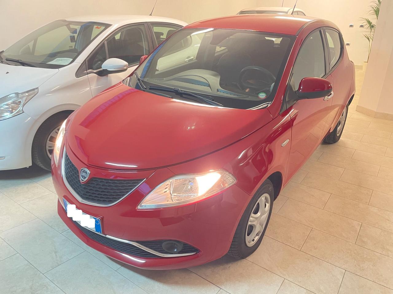 Lancia Y Ypsilon 1.2 Silver Tagliandata Distribuzione Neopatentati