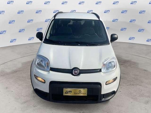 Fiat Panda 1.0 firefly hybrid City Life s&s 70cv 5p.ti