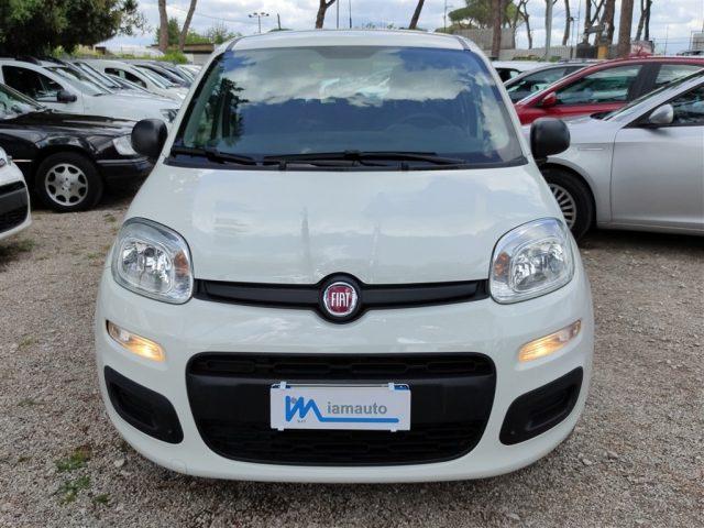 FIAT Panda 1.2 Easy CLIMATIZZATORE OK NEOPATENTATI ..