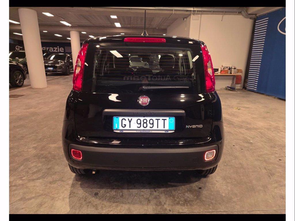 FIAT Panda 1.0 firefly hybrid icon s&s 70cv 5p.ti del 2025