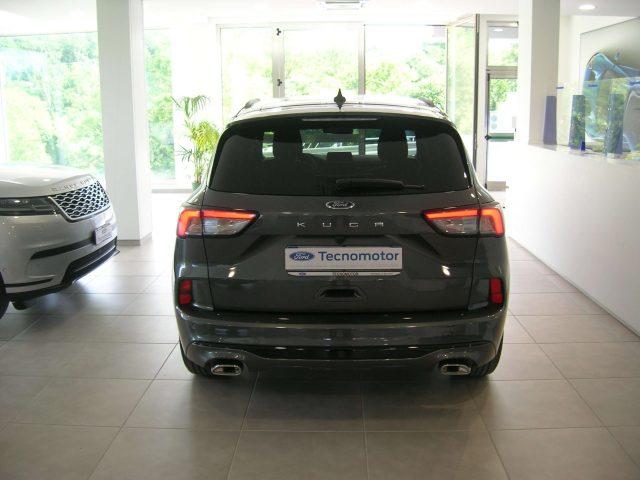 FORD Kuga ST-Line X 1.5 EcoBlue 120cv Automatica A8 2WD