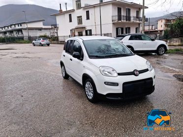 Fiat Panda 1.0 firefly hybrid Sport s&s 70cv 5p.ti