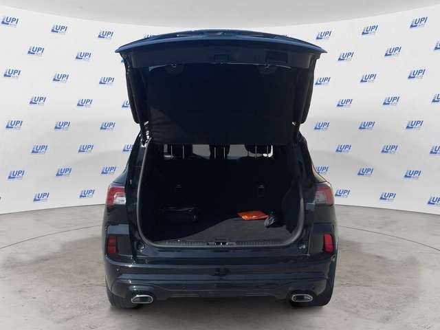 Ford Kuga 2.0 ecoblue ST-Line X awd 120cv auto