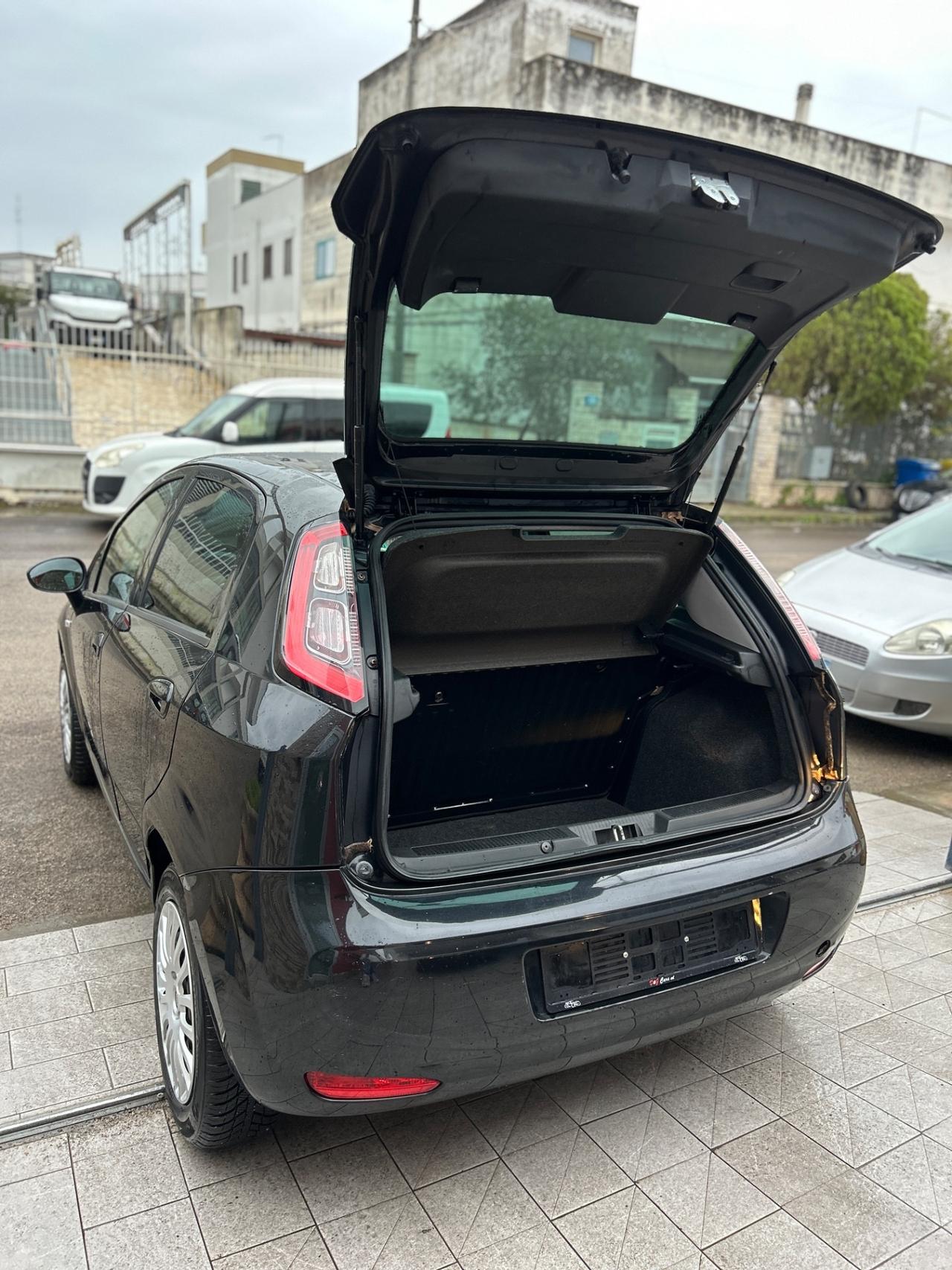 Fiat Punto 1.2 8V 5 porte Young-2014