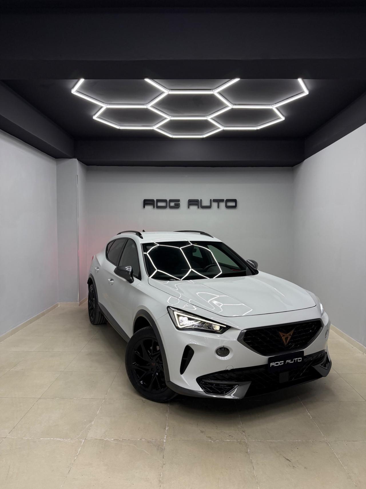 Cupra Formentor 2.0 TDI 4Drive DSG