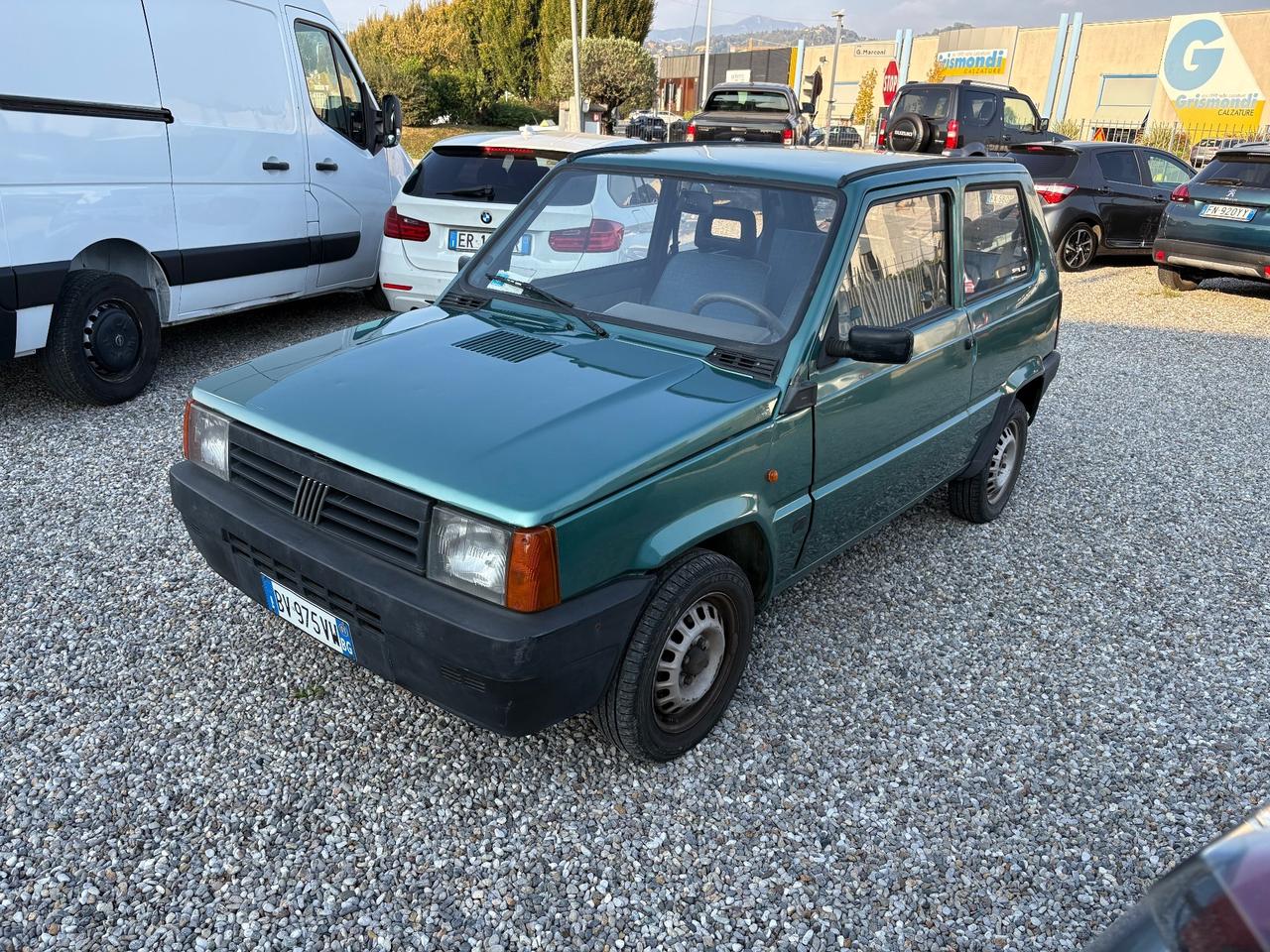 Fiat Panda 1100 i.e. cat Young