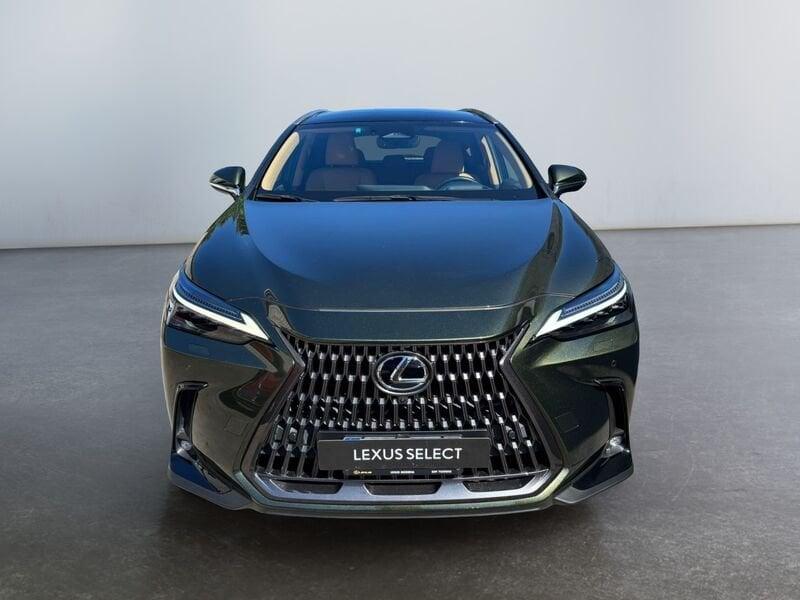 Lexus NX Hybrid Luxury 4WD MY22