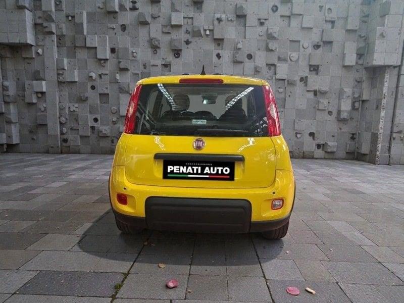 FIAT Panda Panda 1.0 FireFly S&S Hybrid Pop