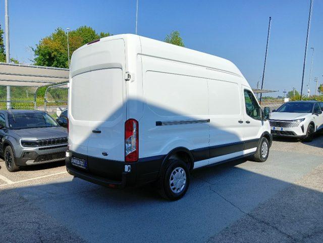 FORD Transit 350 2.0TDCi EcoBlue 170CV PL-TM Furgone Trend