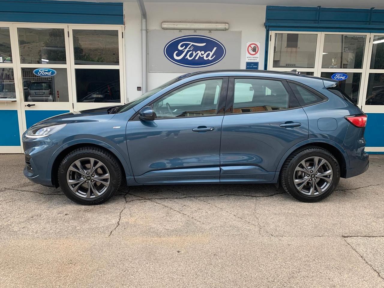 Ford Kuga 1.5 EcoBlue 120 CV 2WD ST-Line