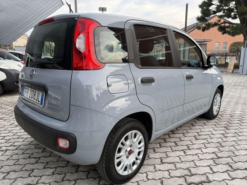 FIAT Panda Panda 1.2 Easy 69cv IDONEA NEOPATENTATI