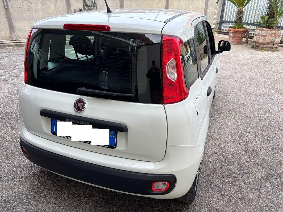 FIAT Panda 1.2 Easy 5 POSTI