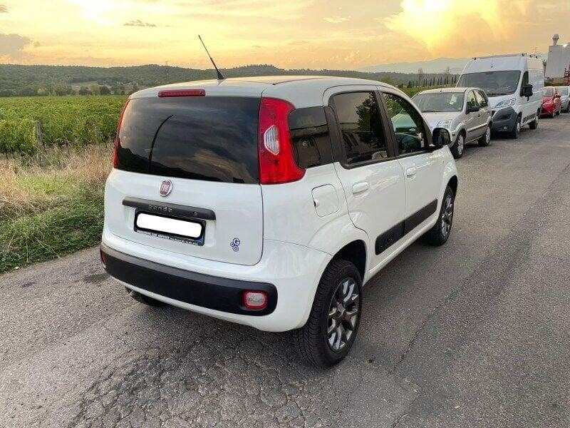 FIAT Panda Panda 1.3 MJT 80 CV S&S 4x4