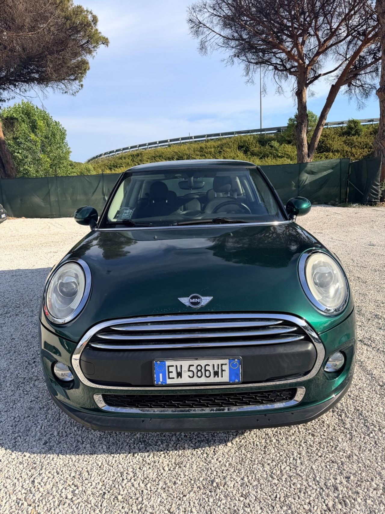 Mini 1.5 One D