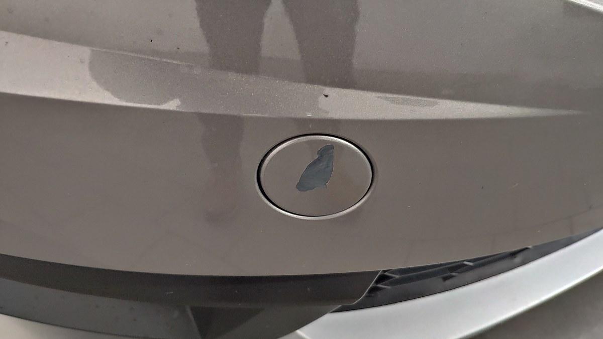 SKODA Octavia 2.0 Tdi Cr 150 Cv 4X4 Dsg Wagon Scout