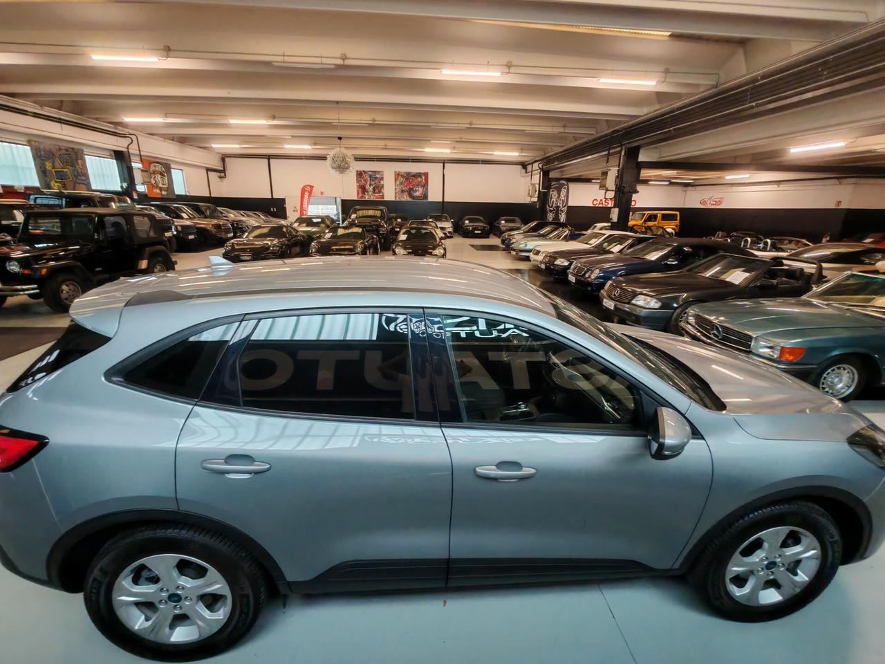 Ford Kuga 1.5 EcoBlue 120 CV automatico