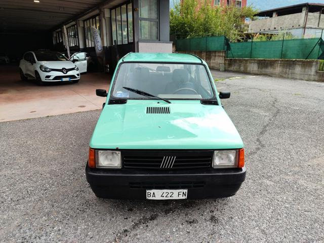 FIAT Panda 1ª serie 900 i.e. cat Young