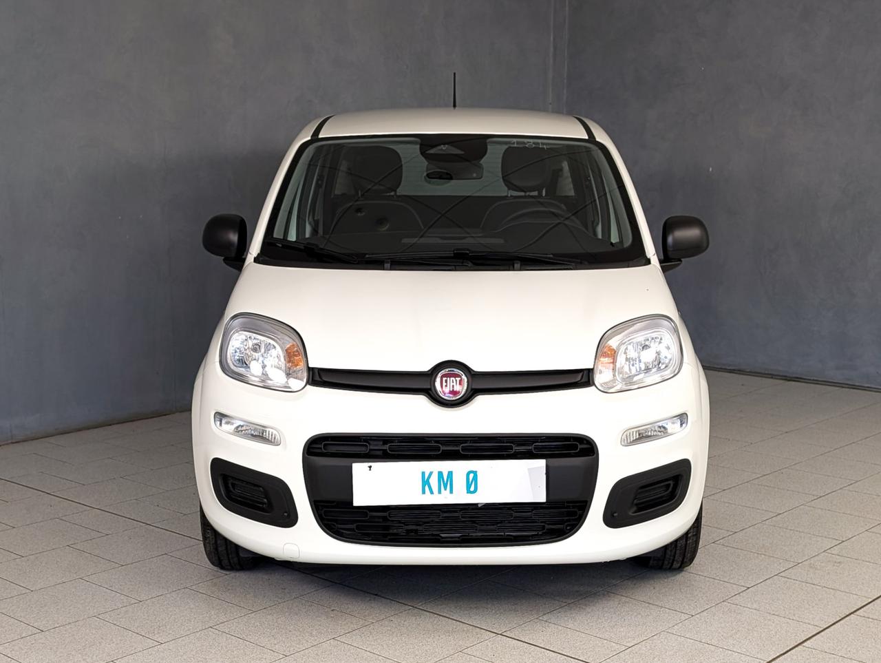 Fiat Panda 1.0 Hybrid 70cv Icon