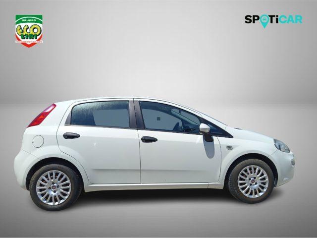 FIAT Punto 1.3 MJT II 75 CV 5 porte Street