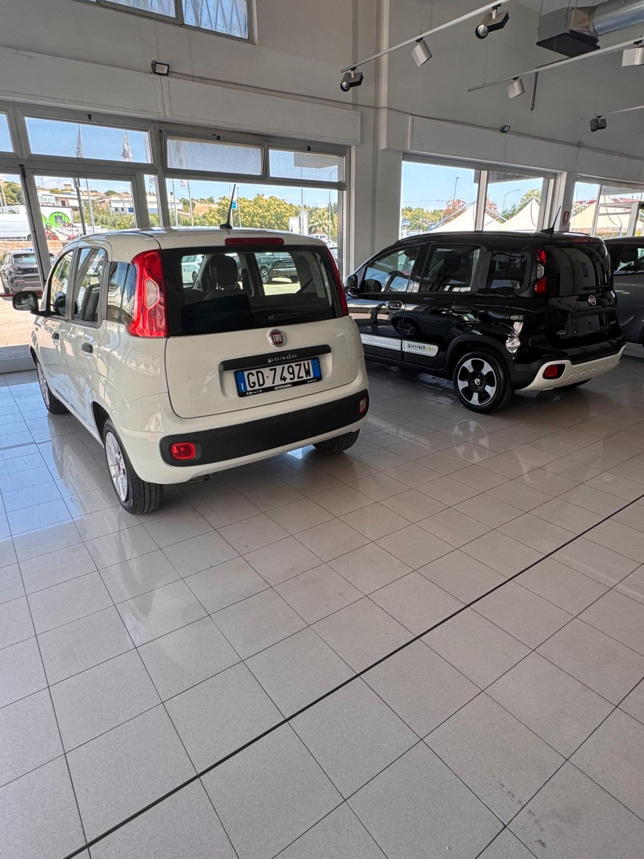 FIAT PANDA 1.2 BZ - EASY