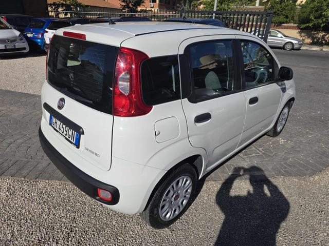 FIAT Panda 1.0 FireFly S&S Hybrid Eas 5 posti no obbligo fina