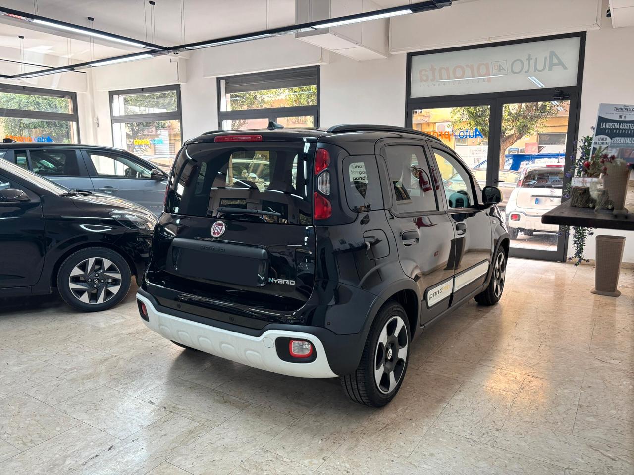 Fiat Panda Pandina Cross 1.0 Hybrid Vari Colori