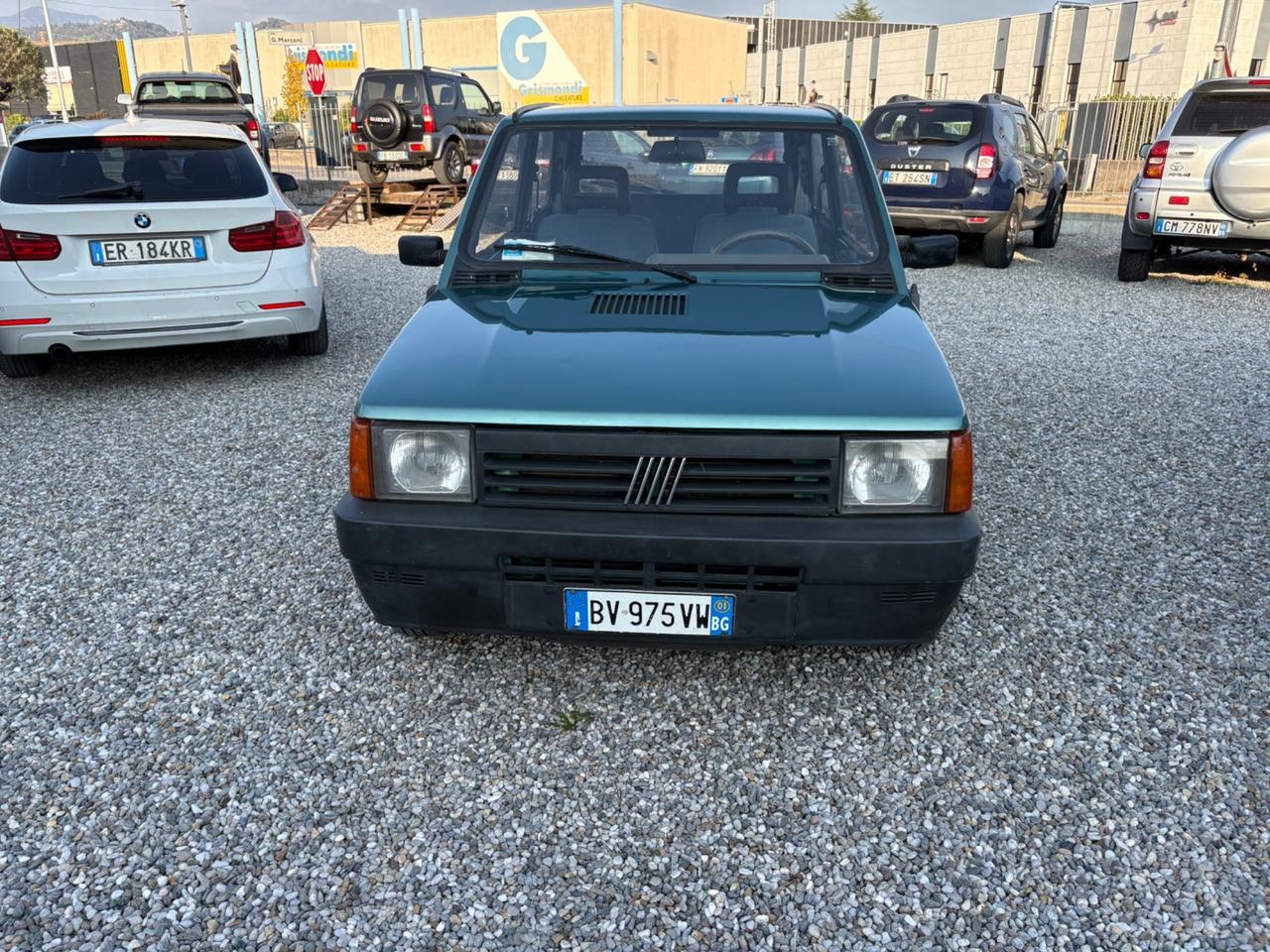 Fiat Panda 1100 i.e. cat Young