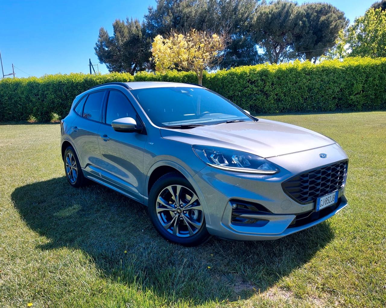 Ford Kuga 1.5 EcoBlue 120 CV aut. 2WD ST-Line