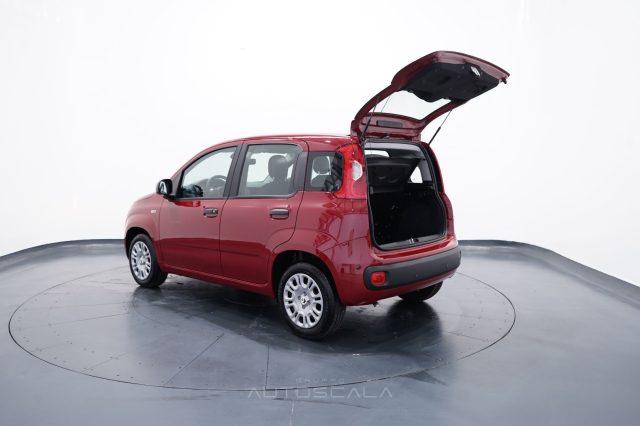 FIAT New Panda My25 1.0 FireFly S&S Hybrid