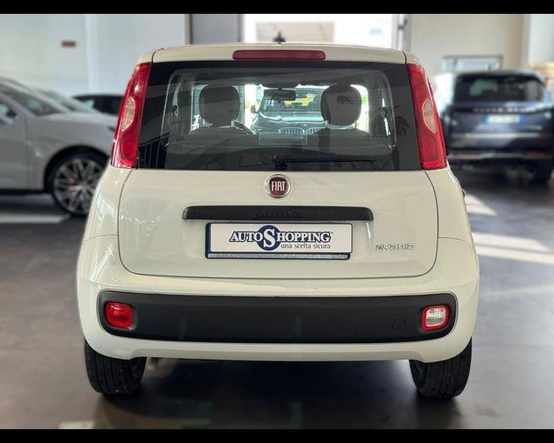 FIAT Panda 3ª serie 1.0 FireFly S&S Hybrid