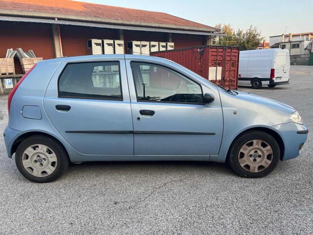 FIAT Punto 1.3 Multijet 16V 5 porte Active Bellissima