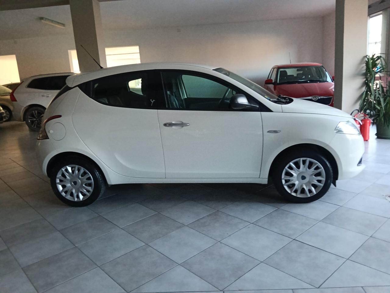Lancia Ypsilon 1.2 69 CV 5 porte Gold
