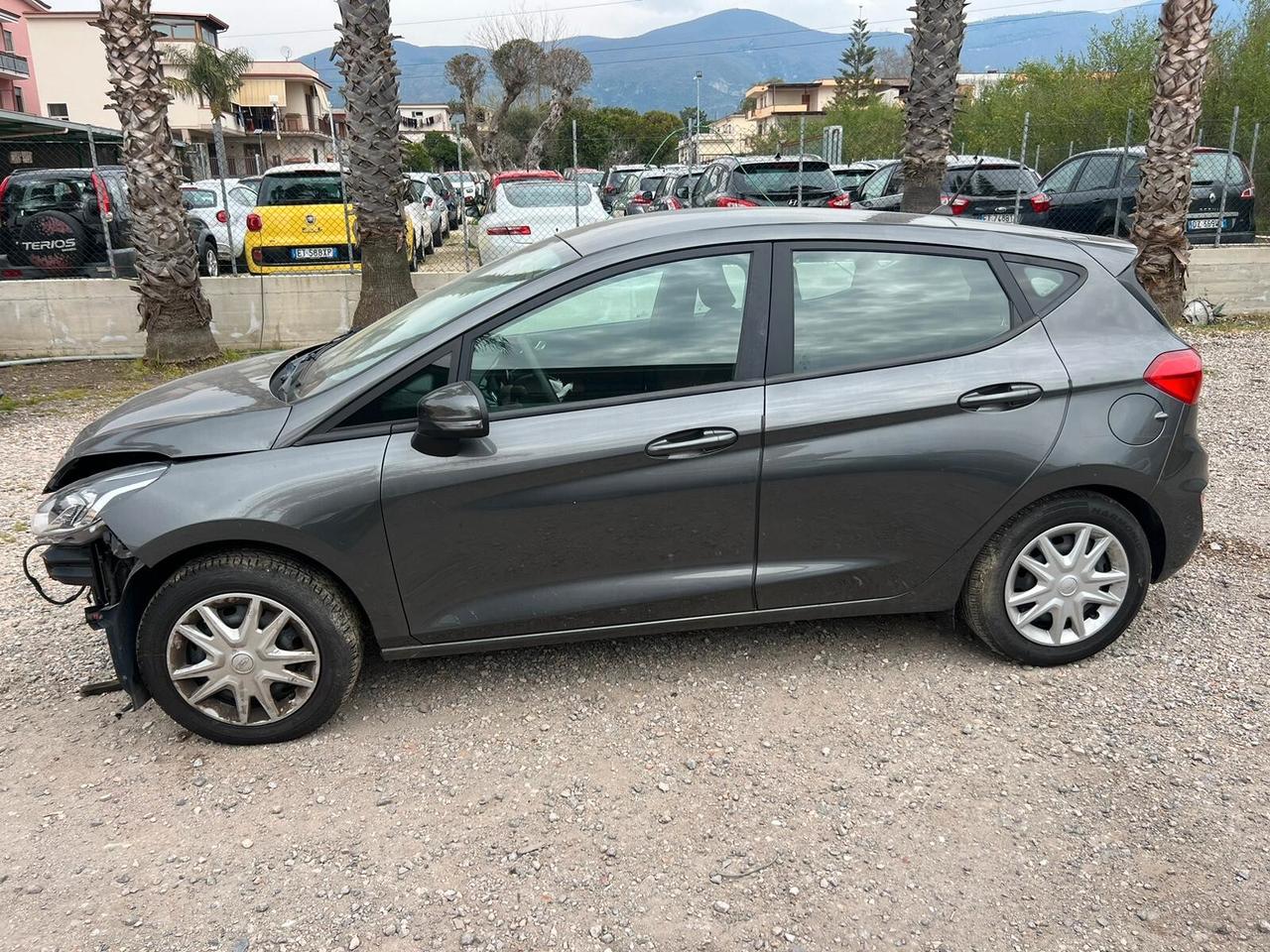 Ford Fiesta 1.1 75 CV GPL 5 porte Plus