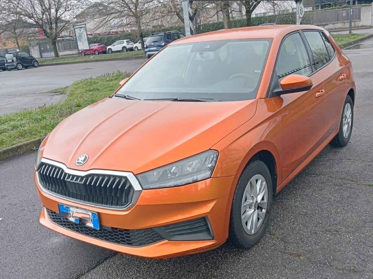 Skoda Fabia 1.0 TSI EVO 95 CV Ambition
