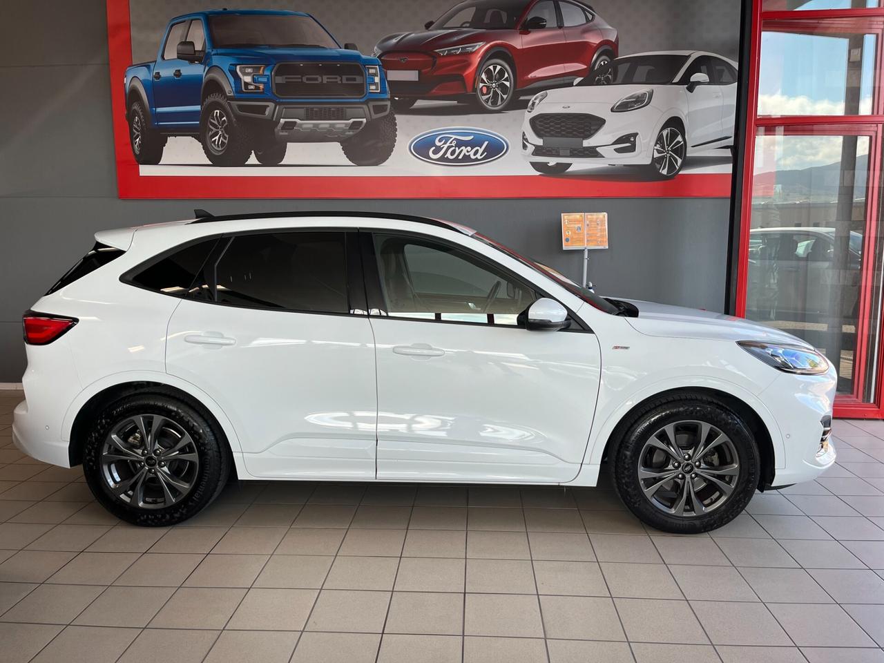 Ford Kuga 1.5 EcoBlue 120 CV 2WD ST-Line X