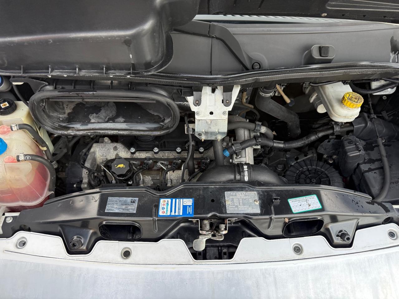 Fiat Ducato Cassone Fisso 2.300 120cv Mt cassone 3,35