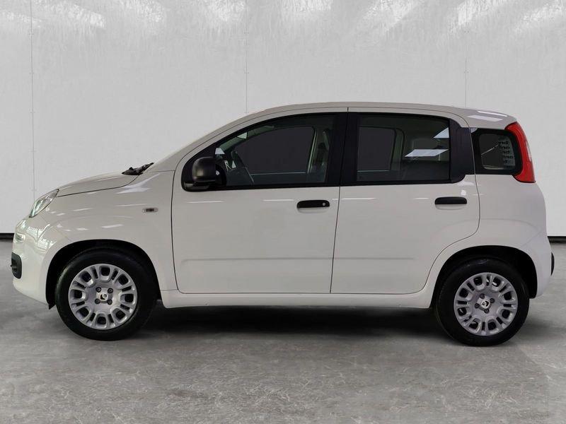 FIAT Pandina 1.0 firefly hybrid Icon s&s 70cv